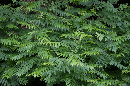 �������nע����������ԓ��ô�k