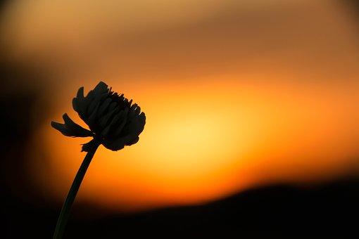 ���۽�����(du��)���ӵĳ��L(zh��ng)���P(gu��n)��Ҫ