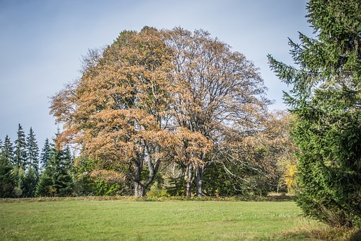 尊重孩子的思想,冷靜教育的重要性