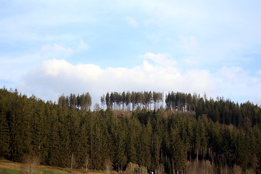 ˼Z(y)ԇ俼ץסc(din) Ĝ(zhn)