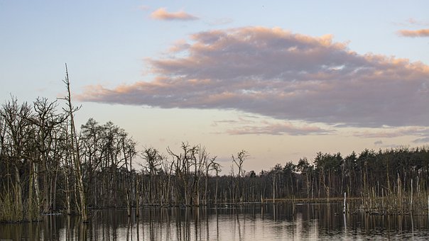 高三的孩子不聽話家長怎么辦