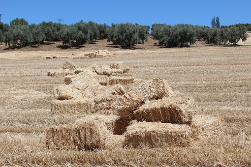 �����ڲ���ȥ�WУզ�k