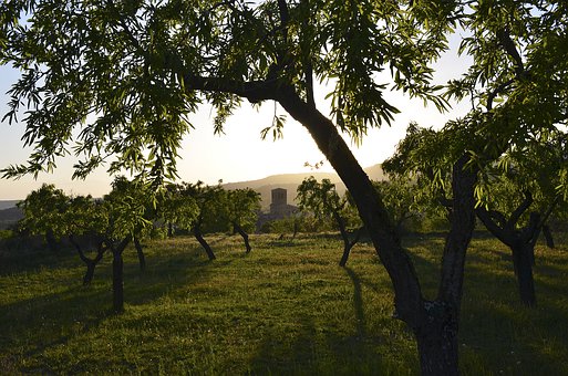 六年級的孩子成績越來越差怎么辦