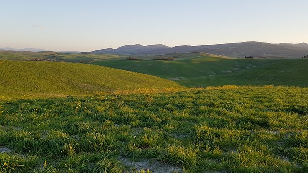 �����ӿ���呟�����ע������