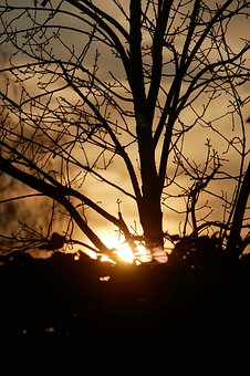 培養孩子學習興趣——消除孩子的自卑感