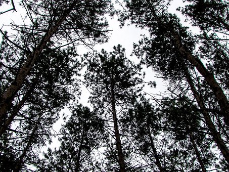 初二成績不錯初三下降