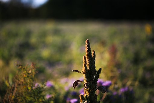 С�������ώ�����ȥ�όW��ô�k