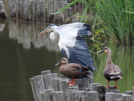 如何幫助高中生克服厭學情緒