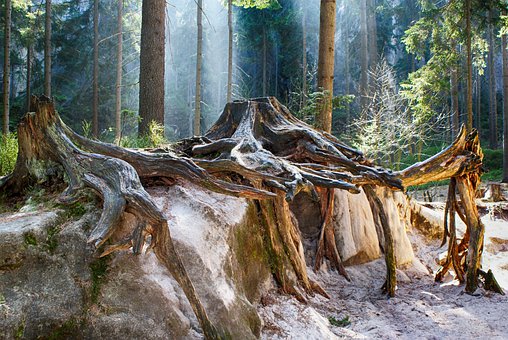 �п�Ӣ�Z���ı؂��10�����f���͡�����