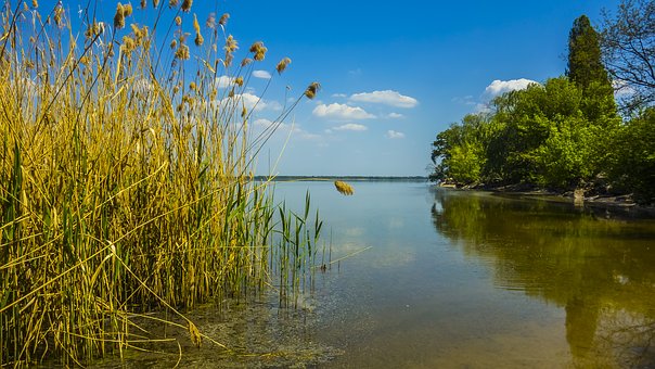 青春期孩子離家出走的教育方法