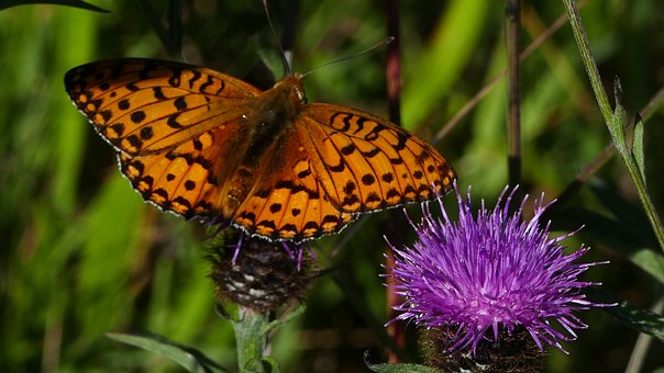 �f�f�o����Ո�ҽ��ע���8�����}