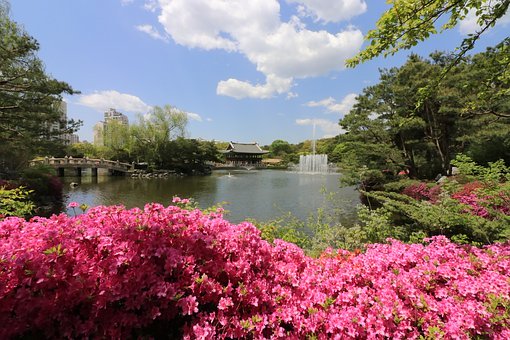 СW(xu)ָ(do)^βZ(y)