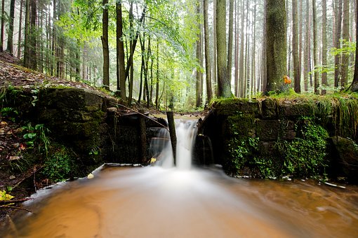 青春期孩子打架家長正確處理