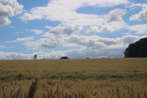 ���L�֪���������к��Ӷ��m�ϳ�����W