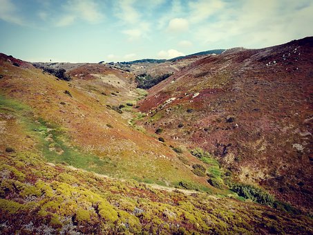 大學(xué)英語四六級試點考試時間調(diào)整等事宜的通