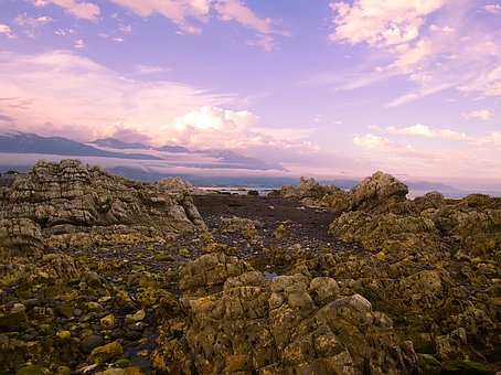 �\�ö�Ný�w�̌W����n��Ч��