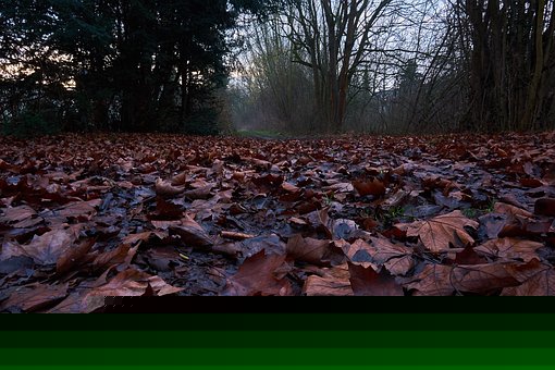 學好高中數(shù)學最有效的方法