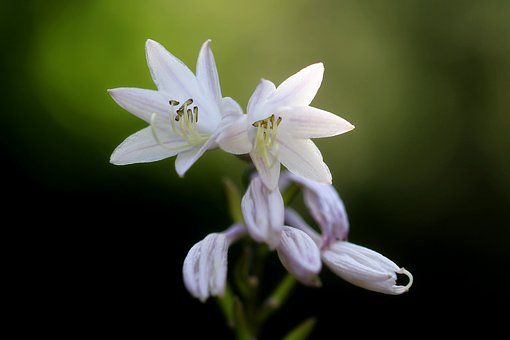 培養孩子心理健康的教育方法