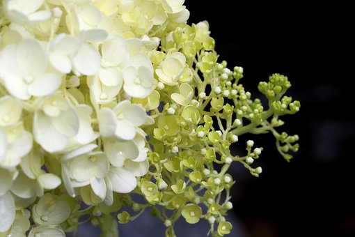 初二孩子叛逆期怎么辦