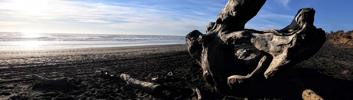 淺議學好初中數學的方法