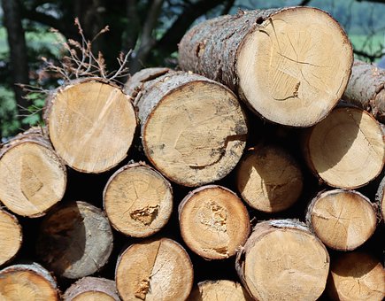 ��W ��Ҫ׌�r��Ŀຢ�ӂ�����