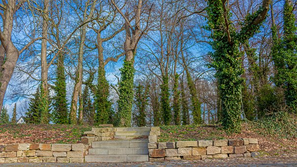 ��W(xu��)��������5��� Ī׌���vʯ����