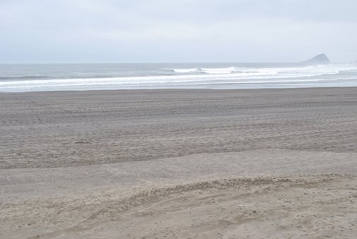 С�������M�a���S���� ���L�����Ҫ��