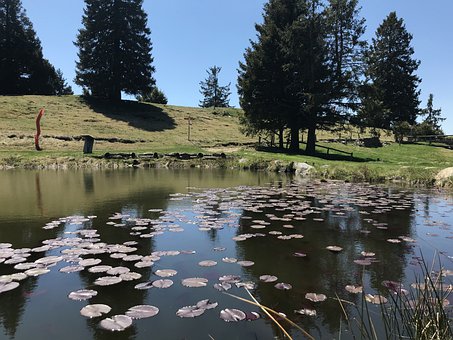 教育膽子小的孩子:鼓勵引導讓孩子自信成長