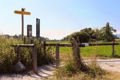 教育專家的建議:幫助孩子理解和管理情緒