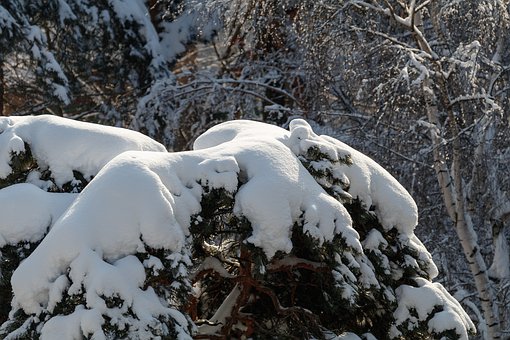 給10歲孩子的教育建議:夸獎與鼓勵是關(guān)鍵