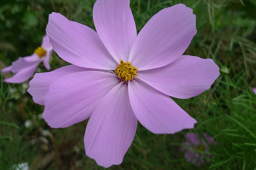 ��ν����ഺ�����ڵĺ���