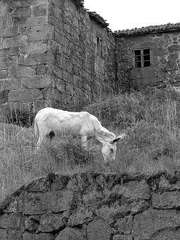 初中孩子不想學習怎么辦