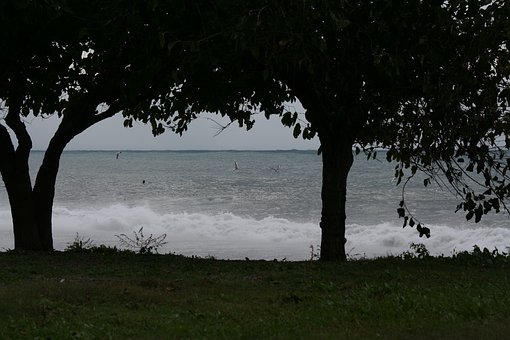 ��ͥ�������ӵ����_����