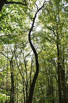 С�����o�����ā팑���I��ô�k