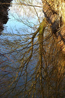 孩子初三了談戀愛了家長該怎么做