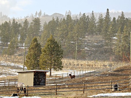 �߶��W���ɿ��»����L��ô��