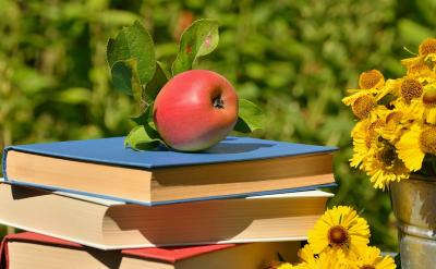 25、全面加強和改進黨的建設的內容