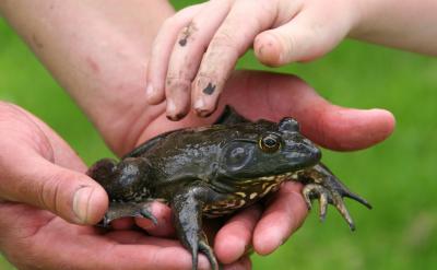 �����ĕr���Ҳ�ȡ�ķ�����������ȫ��...