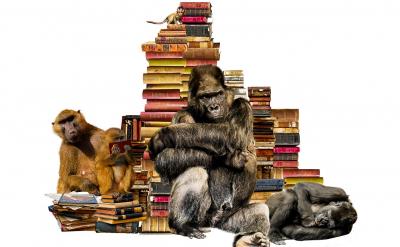 ˮ�ւ������ие���ƣ�v��