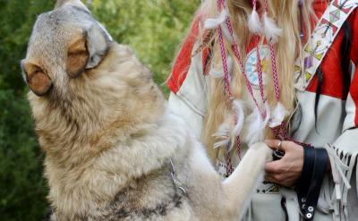 ��ĸ��������J�麢�����e�`�ģ����ܕ����...