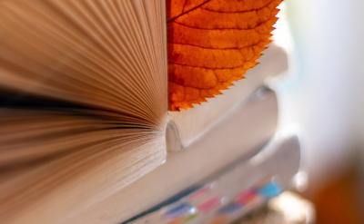 篇10:高考語文沖刺復習攻略