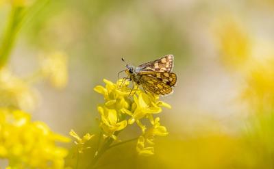 @ЩȤľ呟ӵ˼Sԣ...