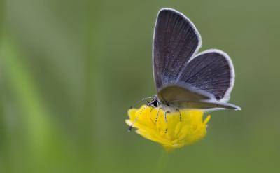 �x���o�ã��^���ƫ�H�c�`��