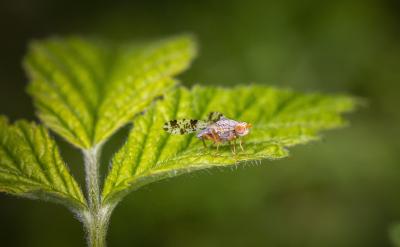 各位初三同學在學習歷史知識時還要注意各個...