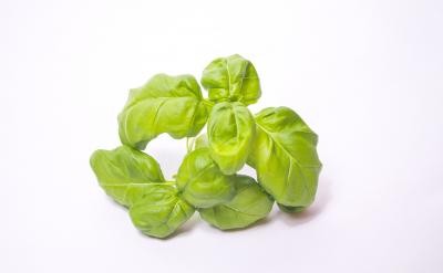 �@��С�����������ø��~��Ԋ�~�_�^��������...