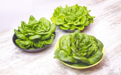 ���}�ĸ�Դ�����]�Y