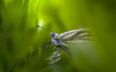 ��ٝ���������u���������ŵĻ�ʯ