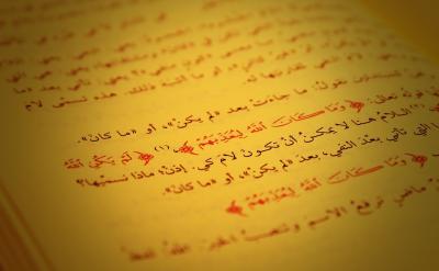 給予孩子積極的回應和支持