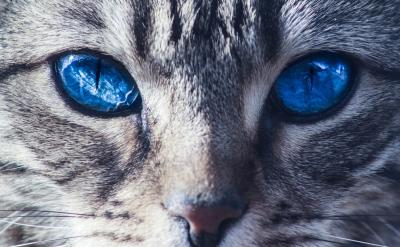 ���_ʼ��x�������������������ώ���ԃ����...