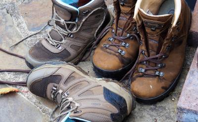 national science foundation (nsf) ��(gu��)�ҿ�...